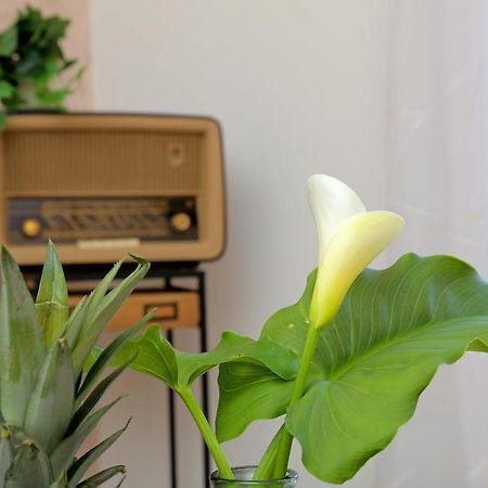 Blue Cliff Apartment ドゥブロブニク エクステリア 写真
